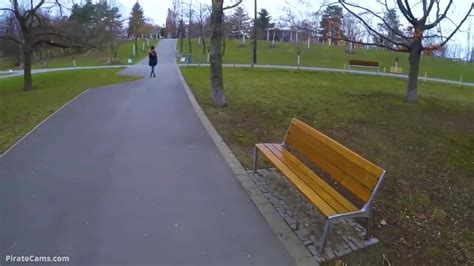 park blowjob|Public Park blowjob & cumshot .